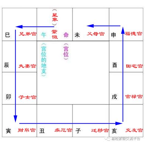 紫薇十二宫